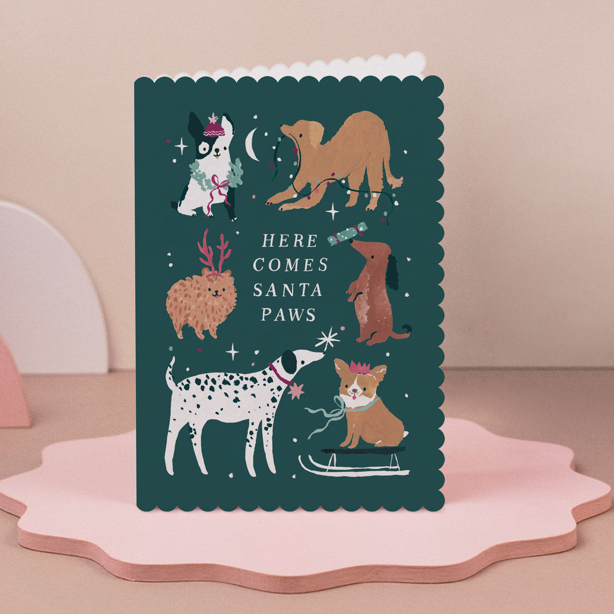Christmas Card with illustrations of dogs and the text 'Here Comes Santa Paws' on a pink stand.